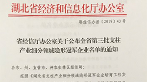 开云网页版页面登录-开云(中国)
被认定为“湖北省支柱产业细分领域隐形冠军示范企业”
